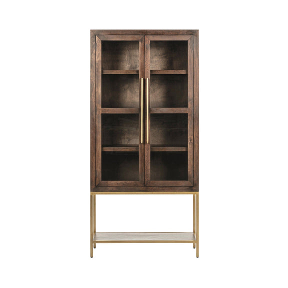 Tall cabinet with two glass-pane doors and interior shelving, dark wood and brass handle