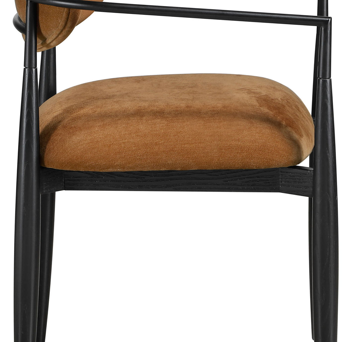 Riccio - Fabric Dining Arm Chair (Set of 2) - Black Frame