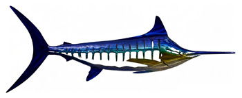 Decorative fish wall decor with blue, teal, and yellow details