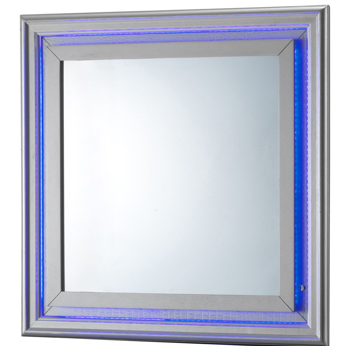 Elegant Transitional LED Mirror