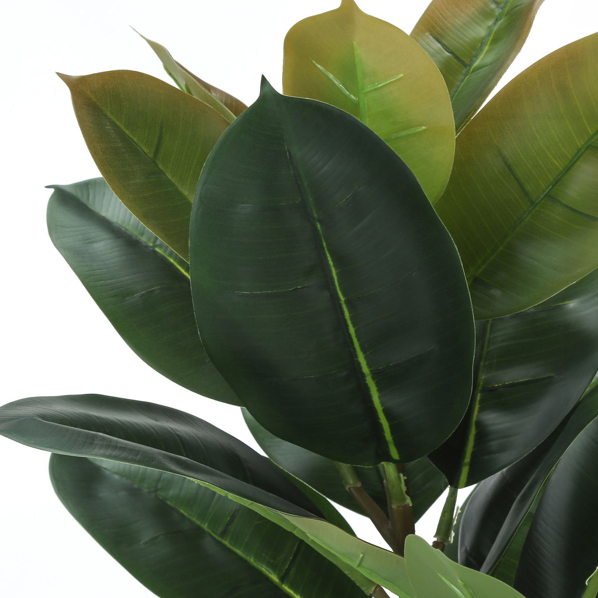 Artificial Plant, 40" Tall, Rubber Tree, Indoor, Faux, Fake, Floor, Greenery, Potted, Real Touch, Decorative - Green / Black