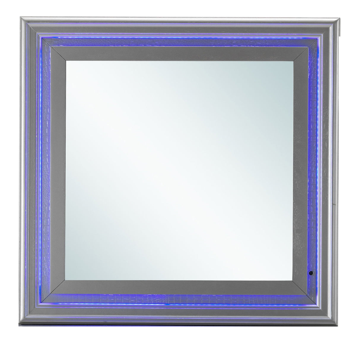 Elegant Transitional LED Mirror