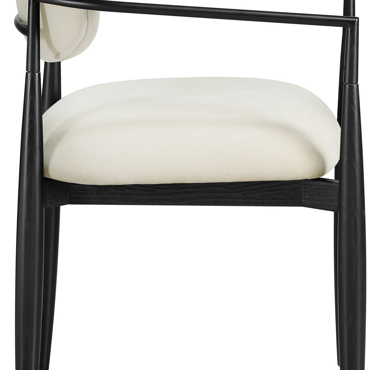 Riccio - Fabric Dining Arm Chair (Set of 2) - Black Frame