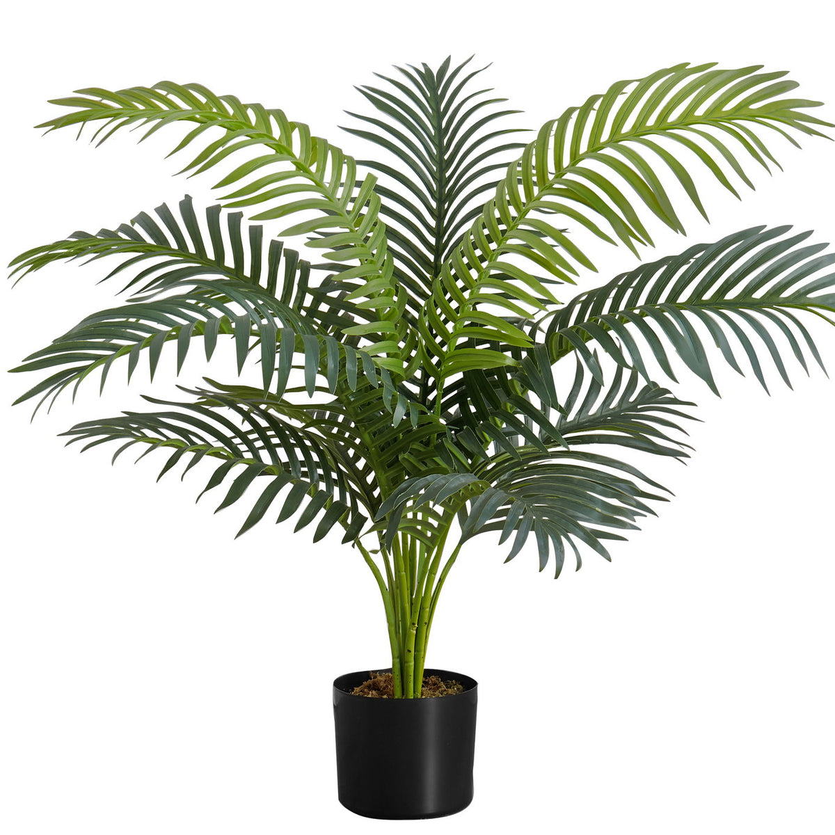 34" Tall, Artificial Plant, Palm Tree, Indoor, Faux, Fake, Floor, Greenery, Potted, Real Touch, Decorative - Green / Black