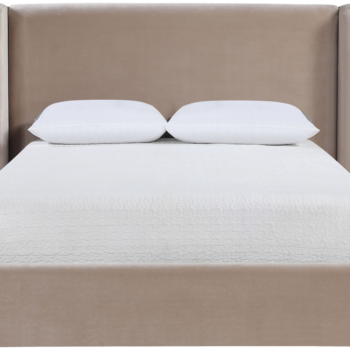 Kendall - Velvet Upholstered Bed - Taupe