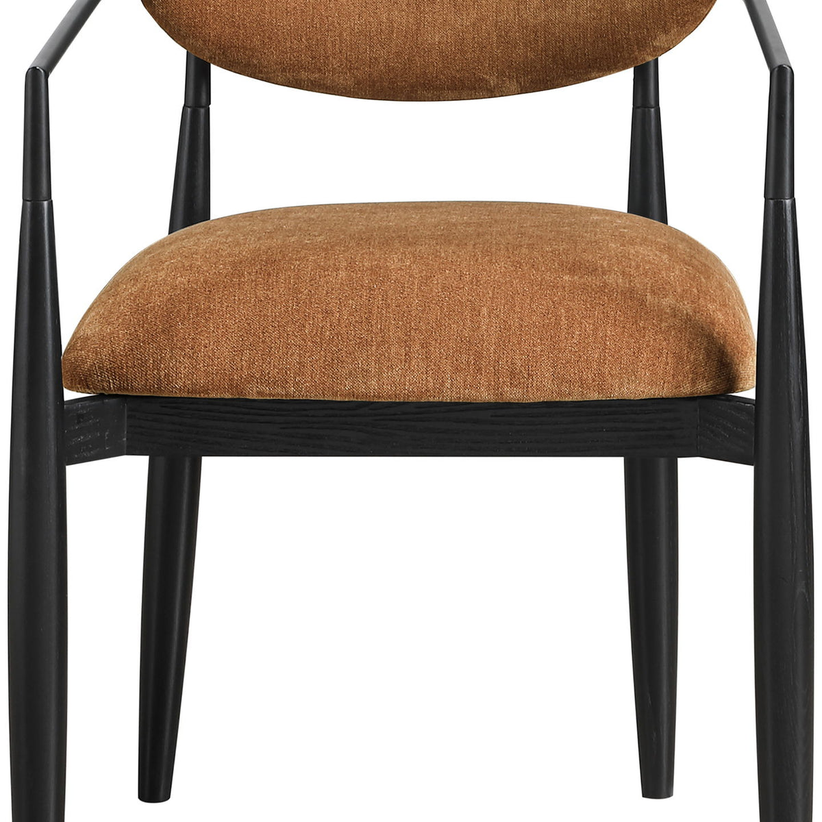 Riccio - Fabric Dining Arm Chair (Set of 2) - Black Frame