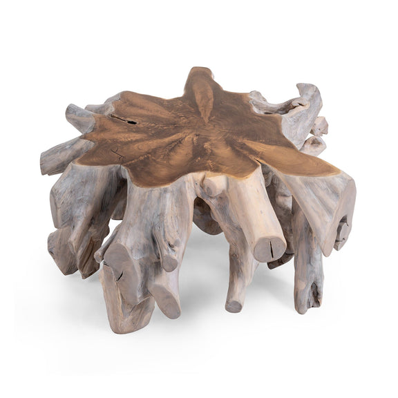 Root coffee table with natural white wash base and dark center slab tabletop