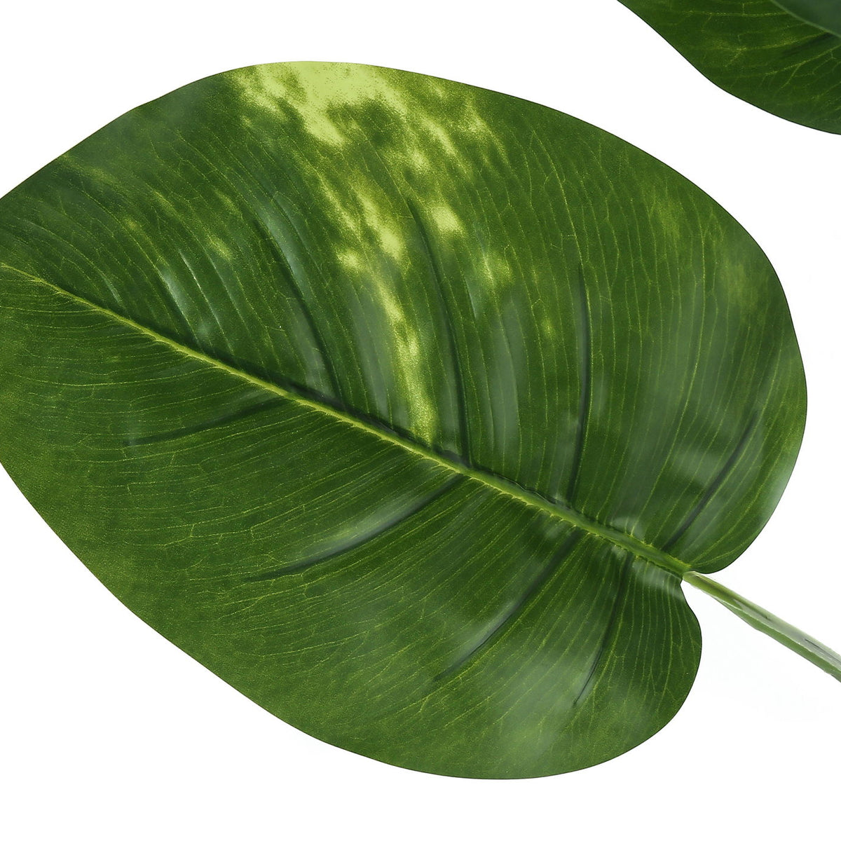 54" Tall, Artificial Plant, Dieffenbachia Tree, Indoor, Faux, Fake, Floor, Greenery, Potted, Real Touch, Decorative - Green / Black