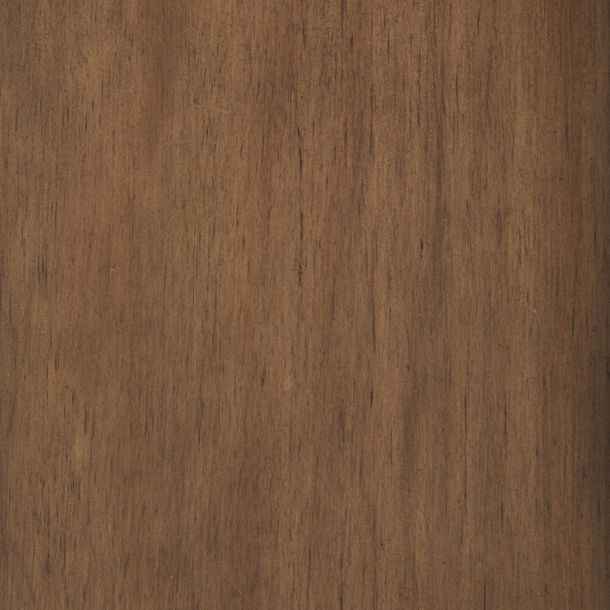 Close-up of rustic natural aged brown wood grain texture