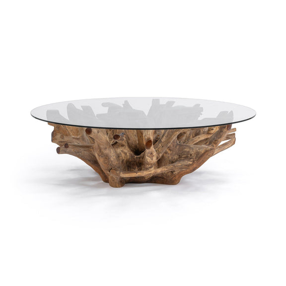 Round glass coffee table top on sculpted natural wood slab base