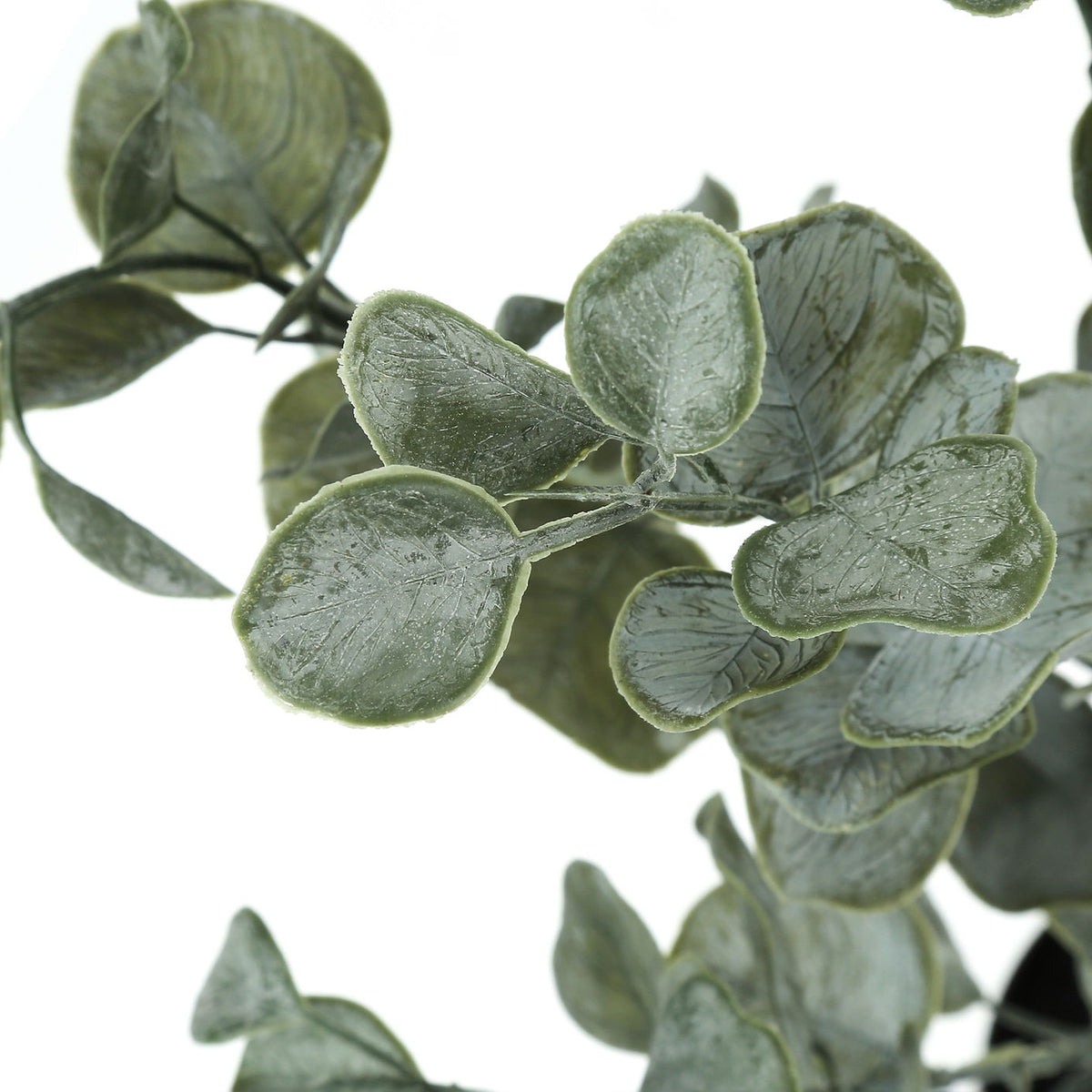 35" Tall, Artificial Plant, Eucalyptus Tree, Indoor, Faux, Fake, Floor, Greenery, Potted, Decorative - Green / Black
