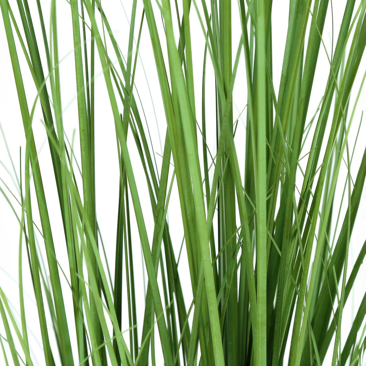 47" Tall, Artificial Plant, Grass Tree, Indoor, Faux, Fake, Floor, Greenery, Potted, Real Touch, Decorative - Green / Black