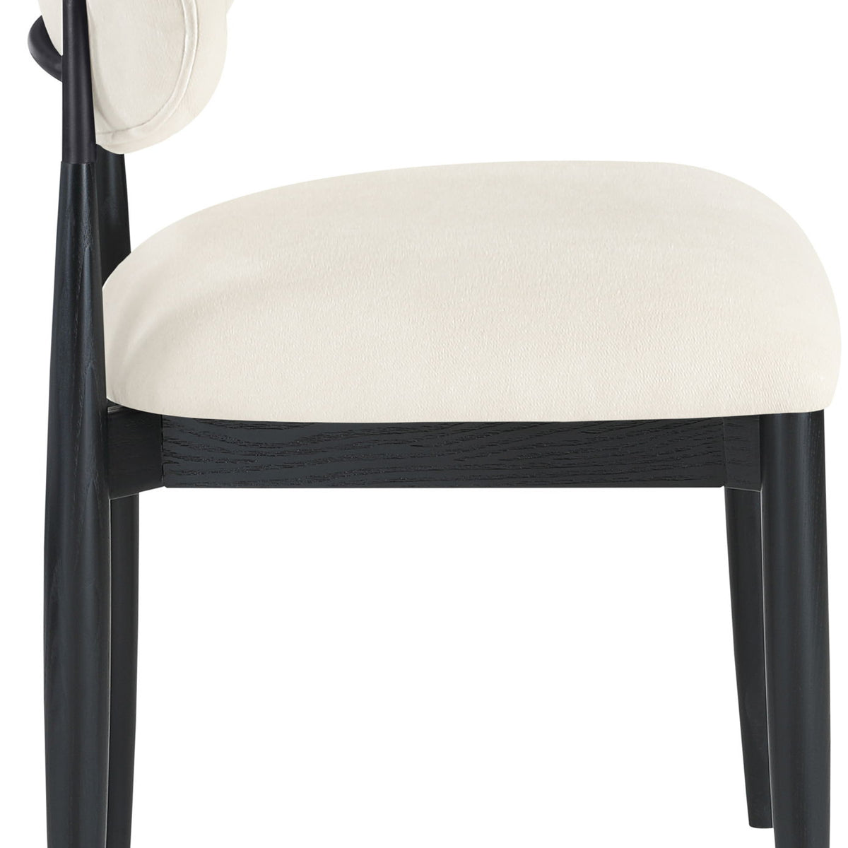 Riccio - Fabric Dining Side Chair (Set of 2) - Black Frame