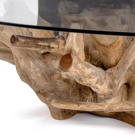 Clear glass edge on sculpted natural wood coffee table, rustic knots and grain