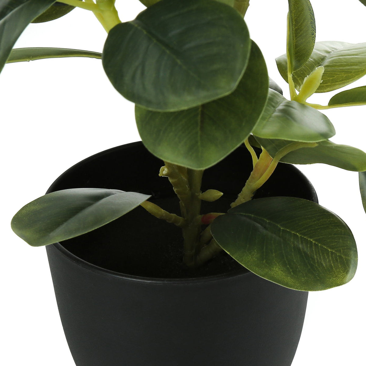14" Tall, Artificial Plant, Ficus, Indoor, Faux, Fake, Table, Greenery, Potted, Decorative (Set of 2) - Green / Black